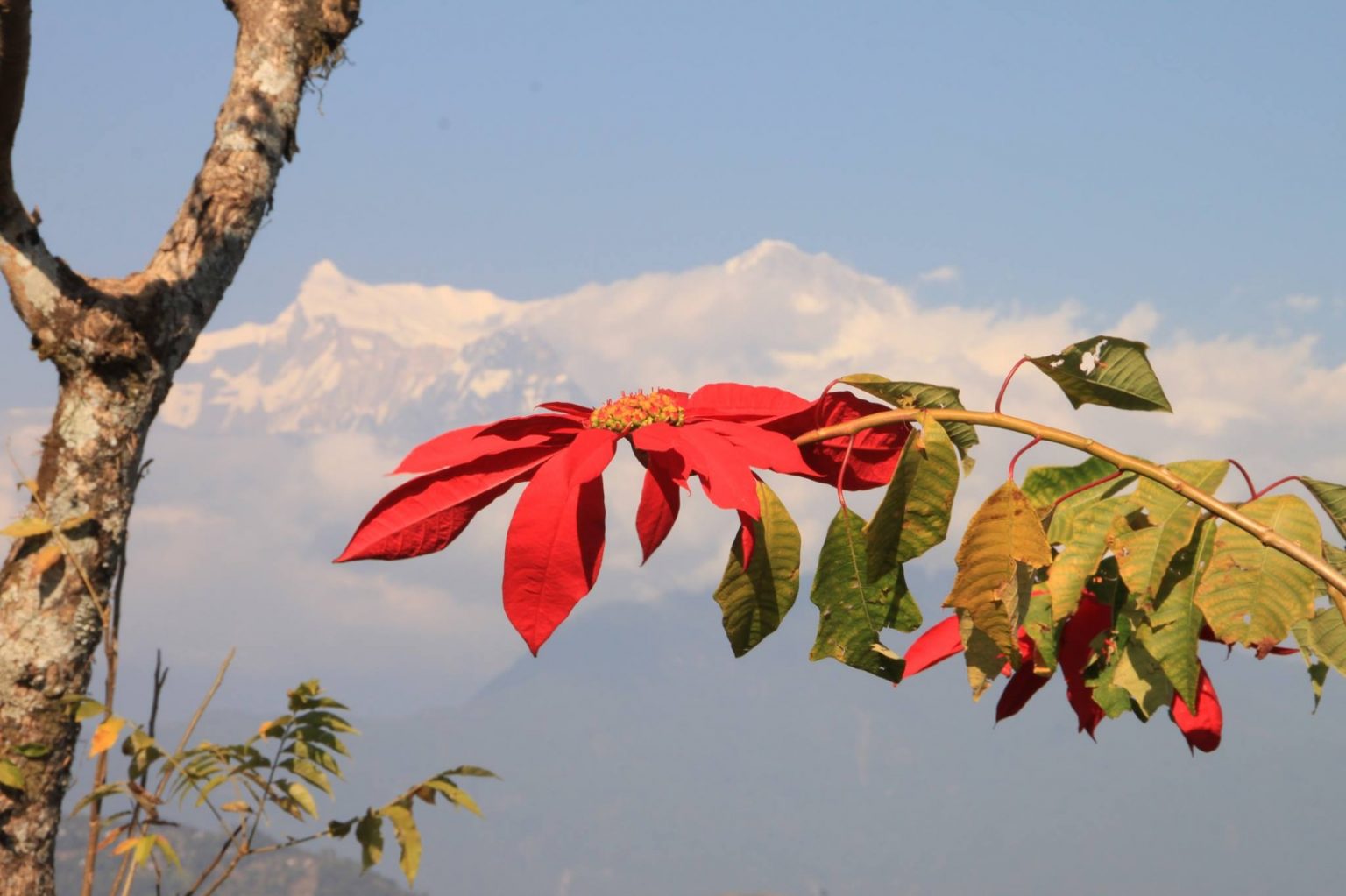 WhatsApp Image 2025-01-23 at 05.43