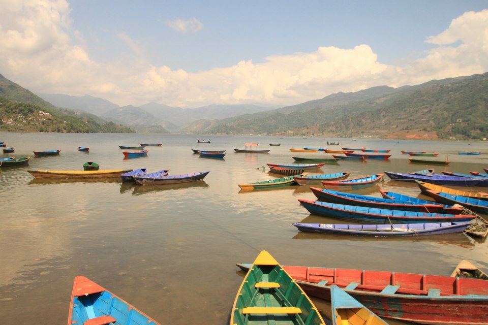 WhatsApp Image 2025-01-23 at 05.43