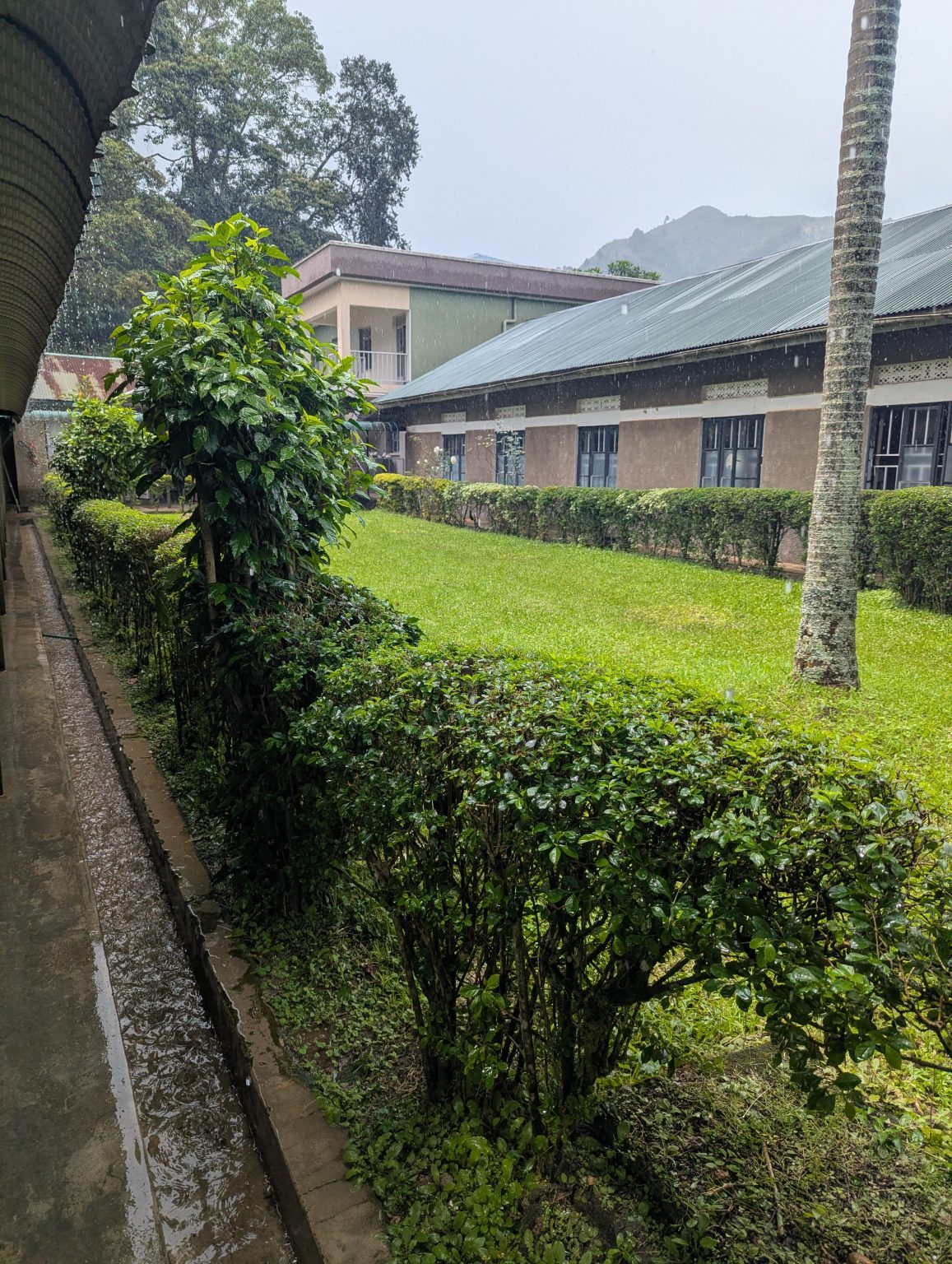 PXL_20251106_093019176