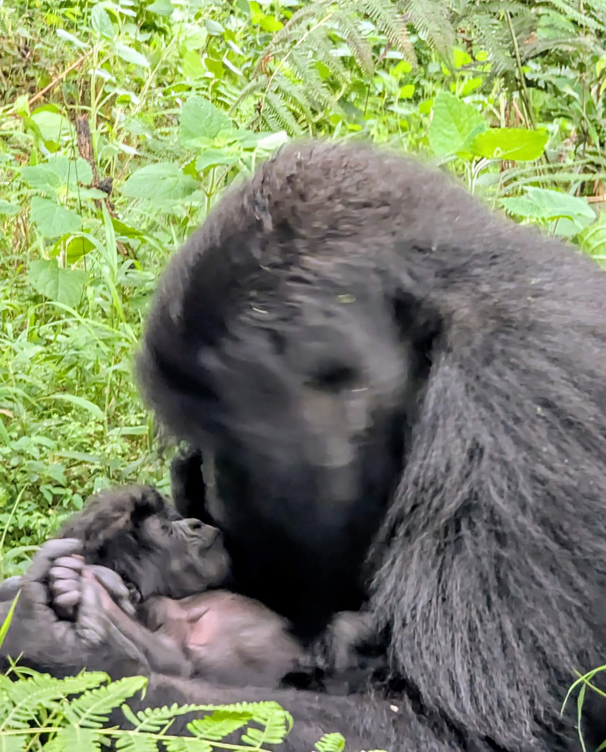 PXL_20251109_075713059~2