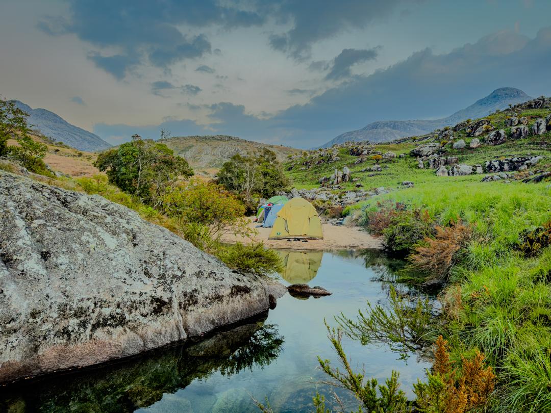 WhatsApp Image 2025-11-14 at 07.53