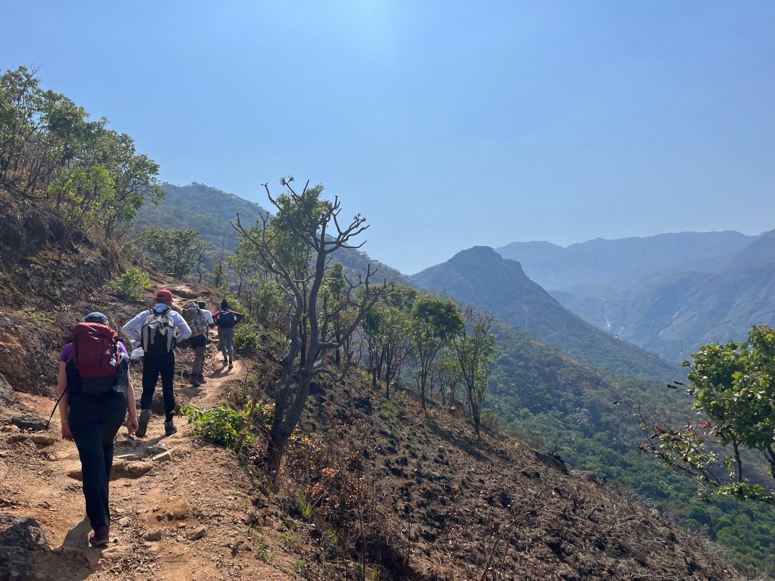 WhatsApp Image 2025-11-14 at 07.54