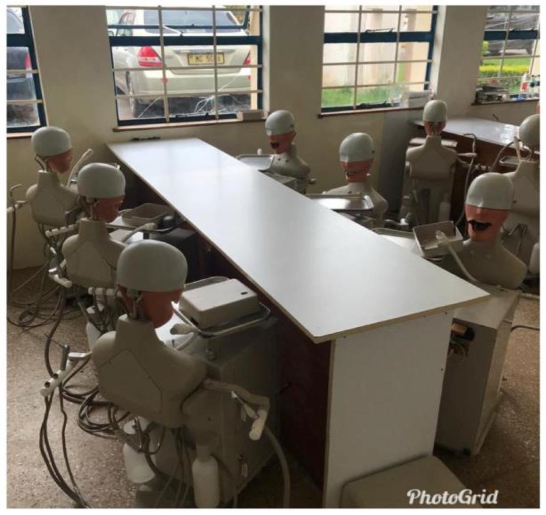 WhatsApp Image 2026-02-25 at 15.10